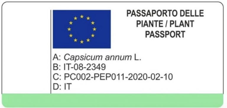 Guía completa de bonos de casino: encuentra lo mejor en 2026, casino con bono de bienvenida